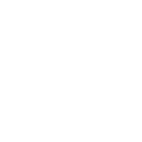 AI Security