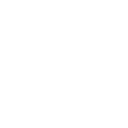Deep Learning (DL)