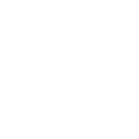 Natural Language Processing (NLP)