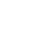 Technology Leadership