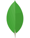 MongoDB